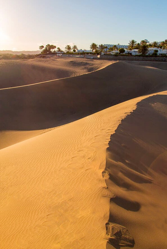 Dunas de Maspalomas Canarias