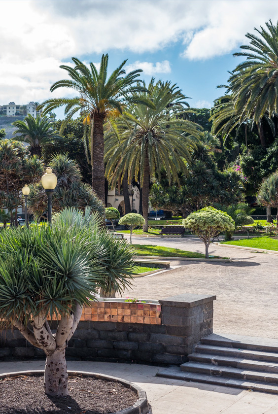 Parque Doramas Las Palmas