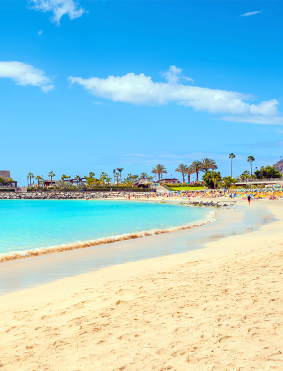 Playa de Amadores Gran Canarias