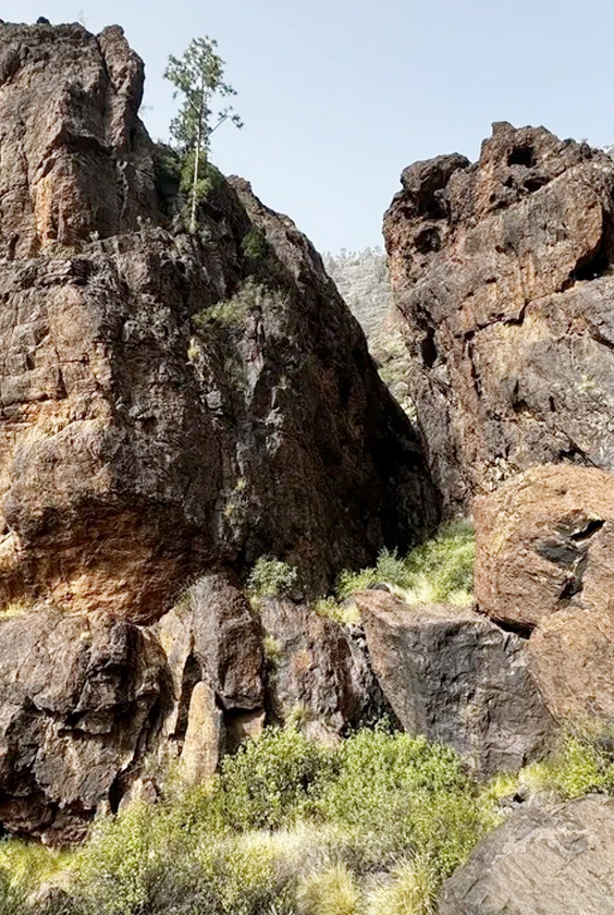 Senderos y rutas de montañismo Gran Canarias